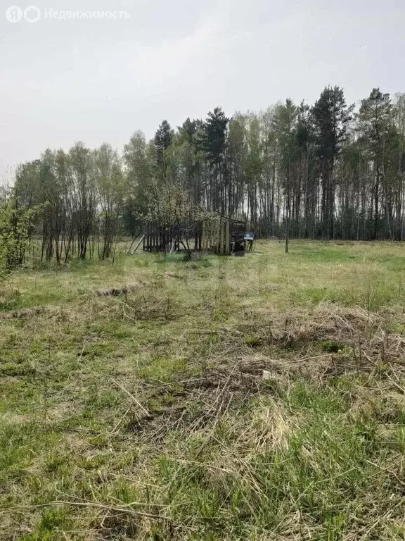 Участок в Свердловская область, Тугулымский муниципальный округ, ... - Фото 2