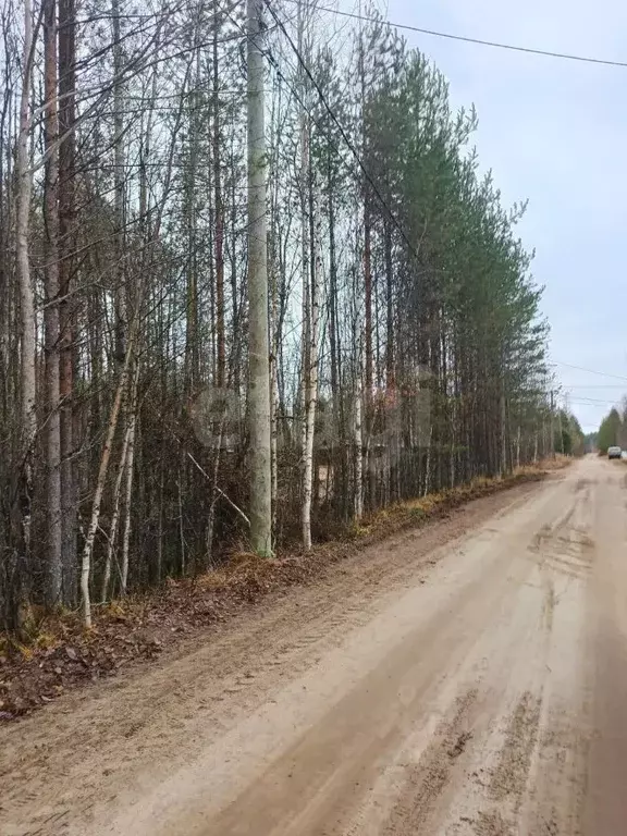 Участок в Коми, Сыктывкар городской округ, Верхняя Максаковка пгт ул. ... - Фото 1