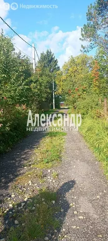 Участок в Мгинское городское поселение, садоводческий массив ... - Фото 2