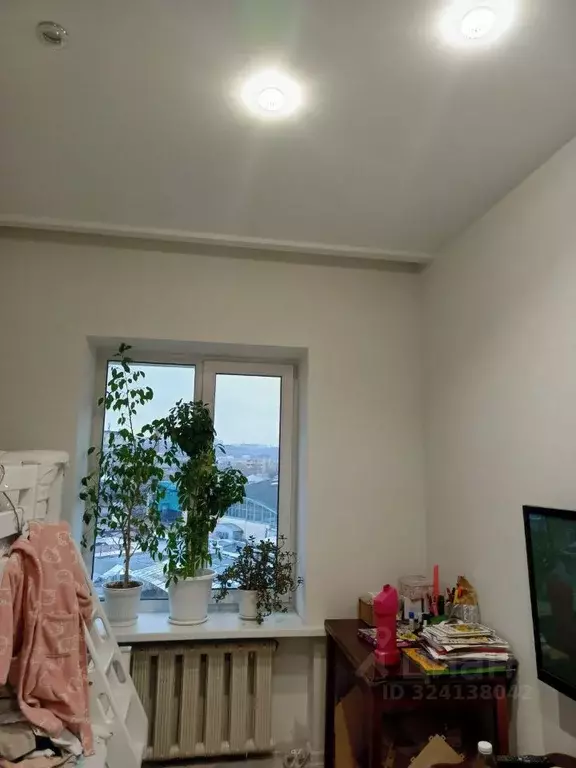 3-к кв. Нижегородская область, Нижний Новгород ул. Чкалова, 9 (62.8 м) - Фото 2