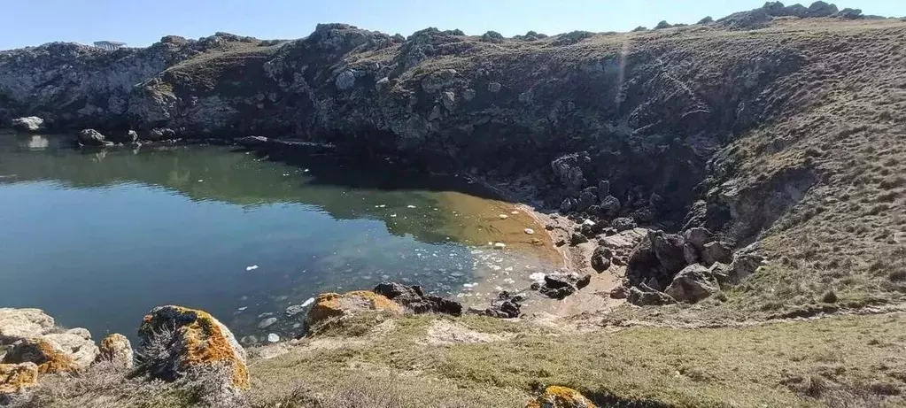 Участок в Крым, Ленинский район, Мысовское с/пос, с. Семеновка  (16.5 ... - Фото 1