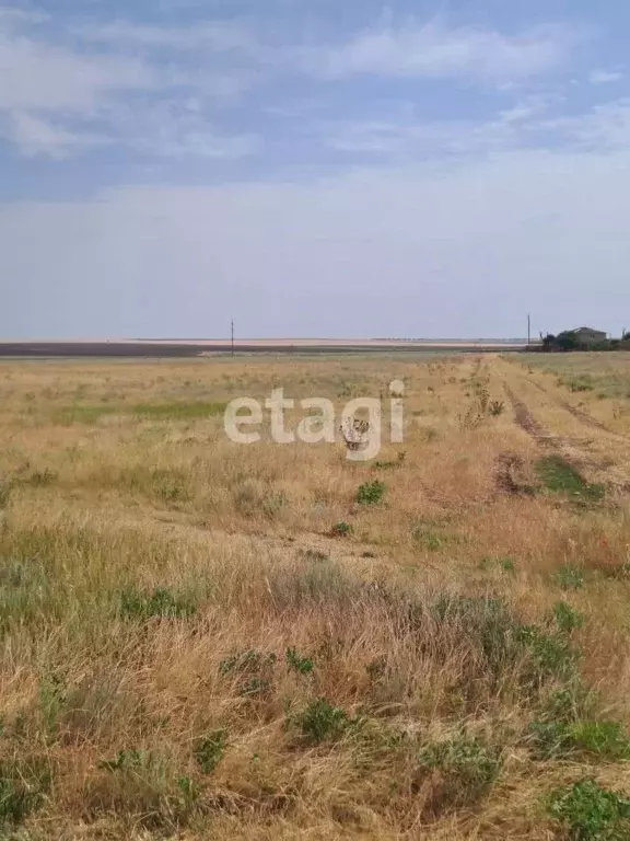 Участок в Крым, Черноморский район, с. Новоивановка ул. Дорожная (7.0 ... - Фото 1