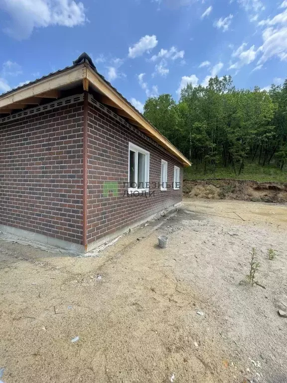 Дом в Амурская область, Благовещенск городской округ, с. Садовое ул. ... - Фото 0