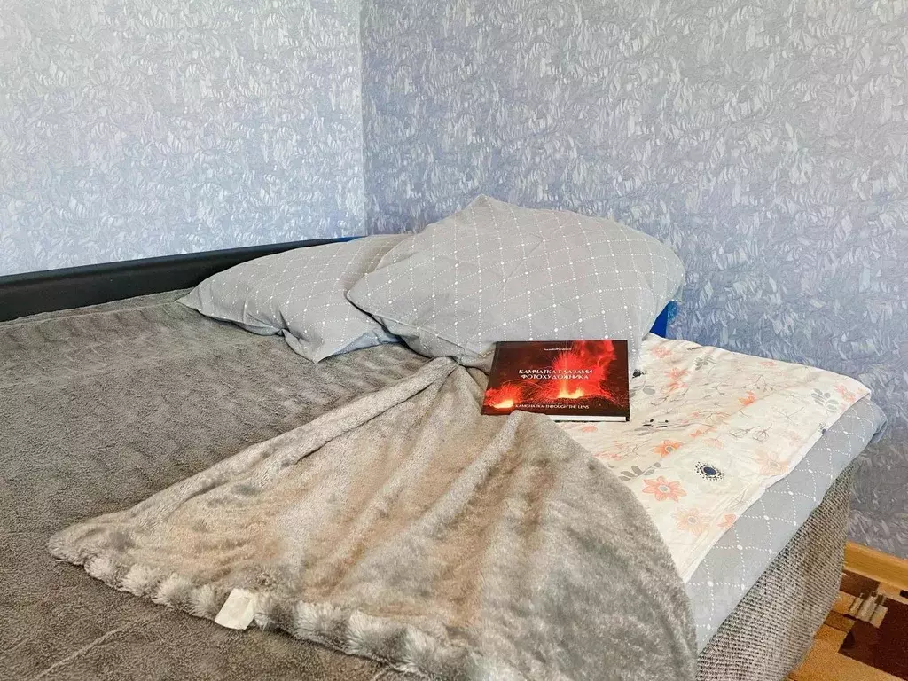 1-к кв. Камчатский край, Петропавловск-Камчатский ул. Максутова, 36А ... - Фото 1