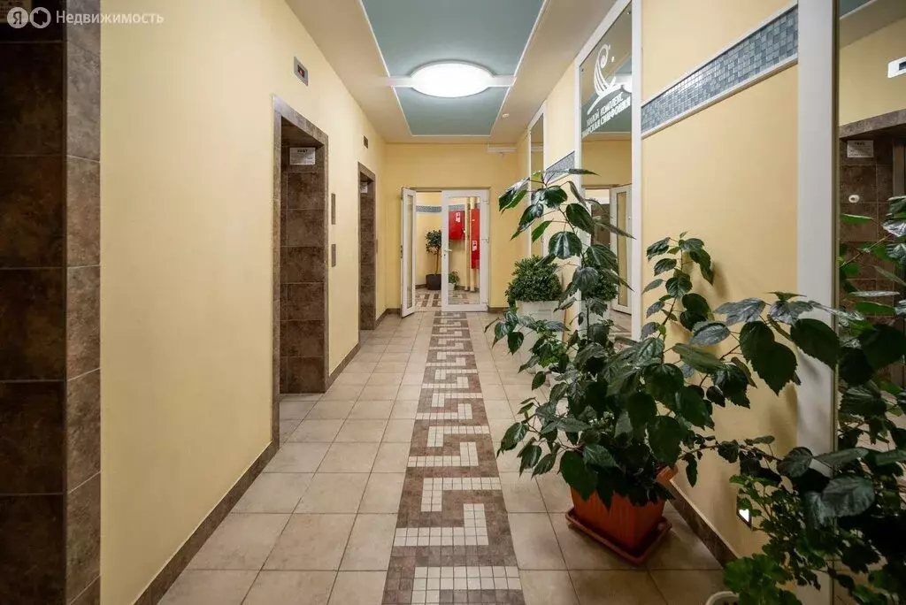2-комнатная квартира: Сочи, улица Ленина, 298Бк4 (56 м) - Фото 1
