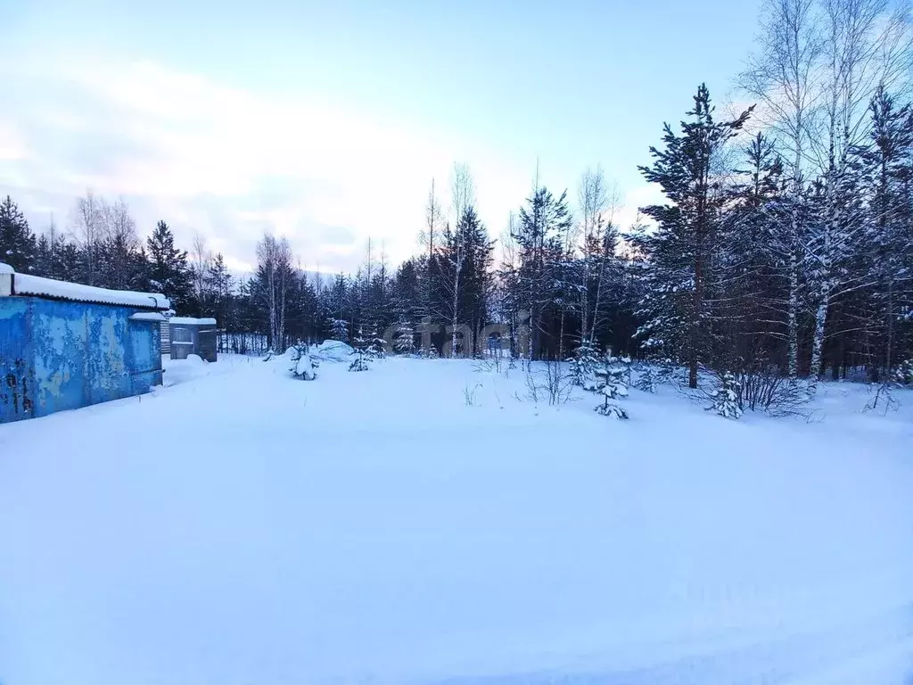 Участок в Ханты-Мансийский АО, Сургутского муниципального района тер., ... - Фото 1