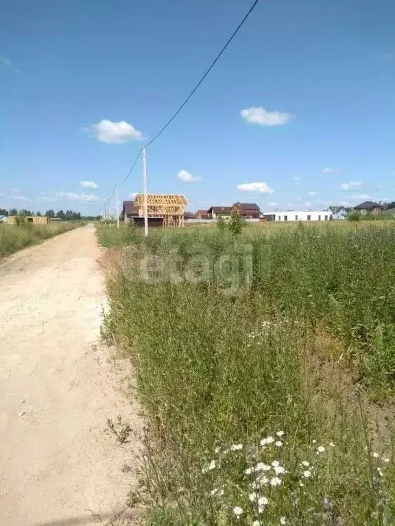 Участок в Ярославская область, Ярославский муниципальный округ, д. ... - Фото 2