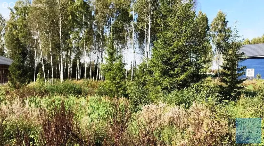 Участок в Московская область, городской округ Солнечногорск, СНТ ... - Фото 1