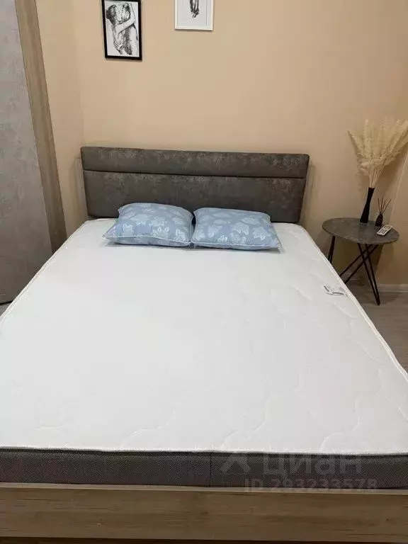 2-к кв. Воронежская область, Борисоглебск Уютная ул., 5А (56.0 м) - Фото 2