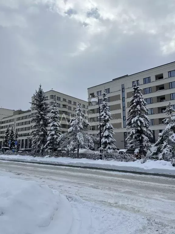 Помещение свободного назначения в Новосибирская область, Новосибирск ... - Фото 1