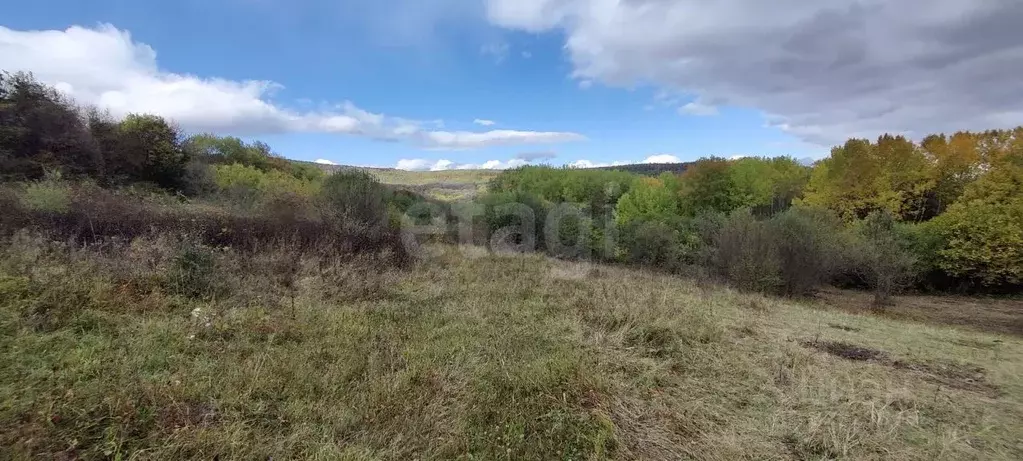 Участок в Адыгея, Майкопский район, Даховская ст-ца  (20.0 сот.) - Фото 1