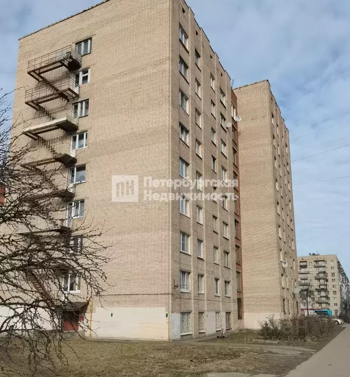 Комната Санкт-Петербург Авангардная ул., 31 (16.7 м) - Фото 0