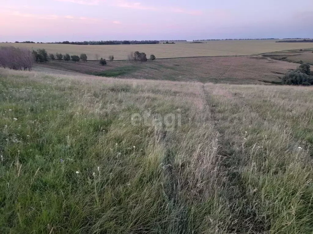 Участок в Белгородская область, Вейделевский район, Малакеевское ... - Фото 0