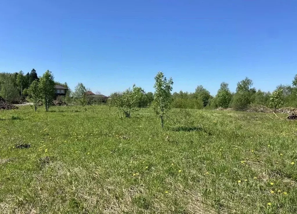 Участок в Московская область, Дмитровский муниципальный округ, д. ... - Фото 2