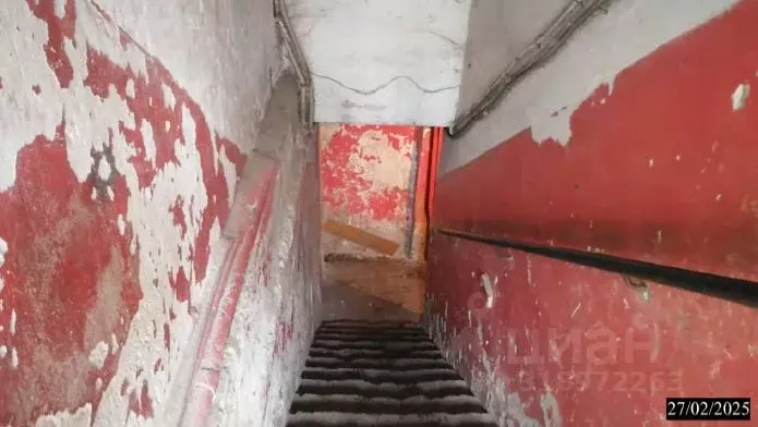 Помещение свободного назначения в Нижегородская область, Нижний ... - Фото 1