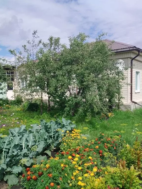 Дом в Свердловская область, Каменский городской округ, д. Черноусова ... - Фото 1