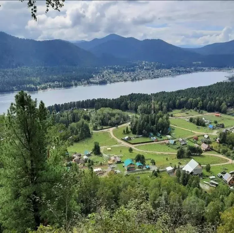 Участок в Алтай, Турочакский район, с. Артыбаш ул. Ветеранов, 20 (17.2 ... - Фото 1