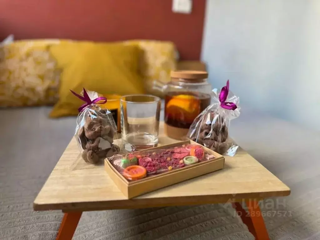 1-к кв. Новосибирская область, Новосибирск Коммунистическая ул., 26 ... - Фото 2