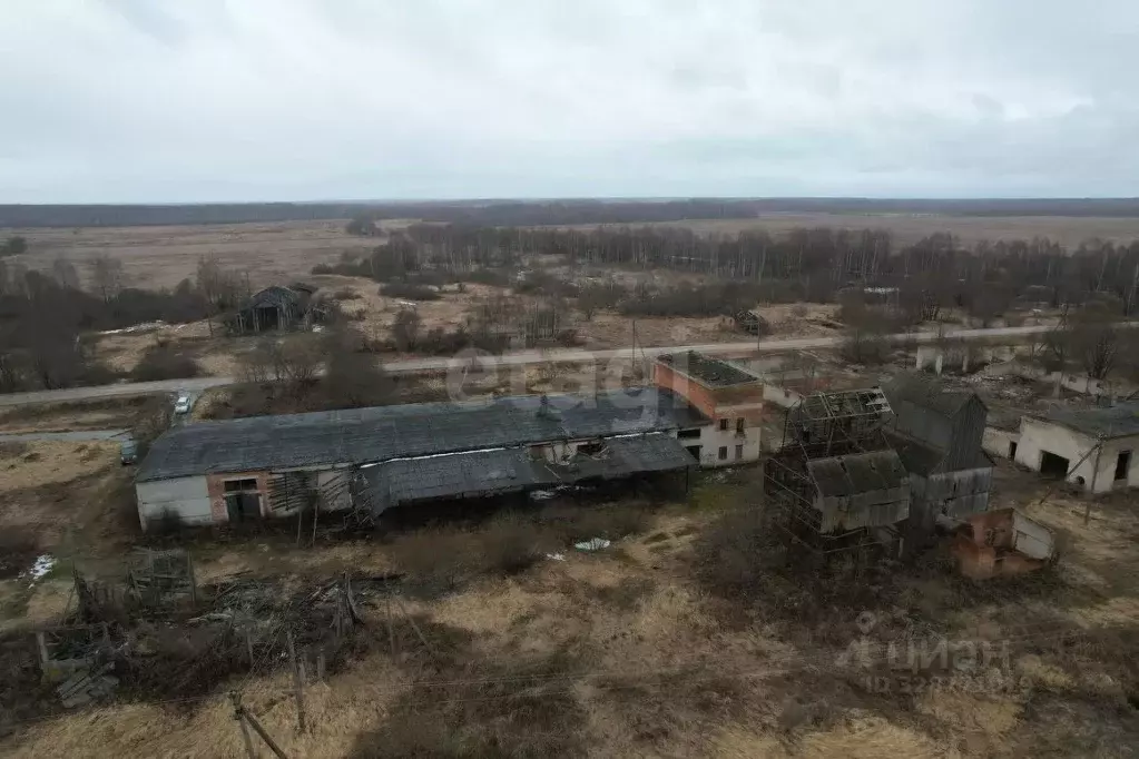 Участок в Калужская область, Юхновский муниципальный округ, Куркино ... - Фото 2