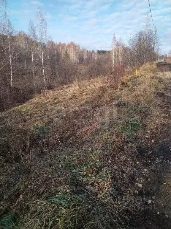 Участок в Алтай, Горно-Алтайск ул. Бочкаревка (6.0 сот.) - Фото 1