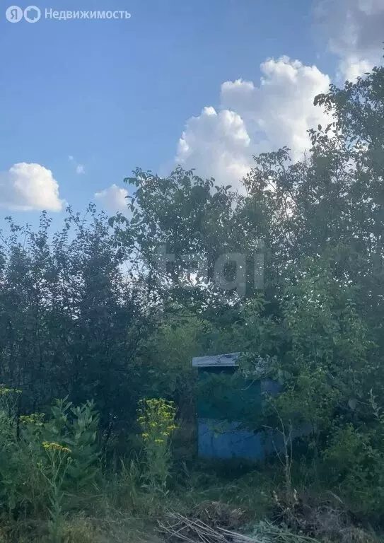 Участок в Ставрополь, садовое товарищество Кравцово (6 м) - Фото 1