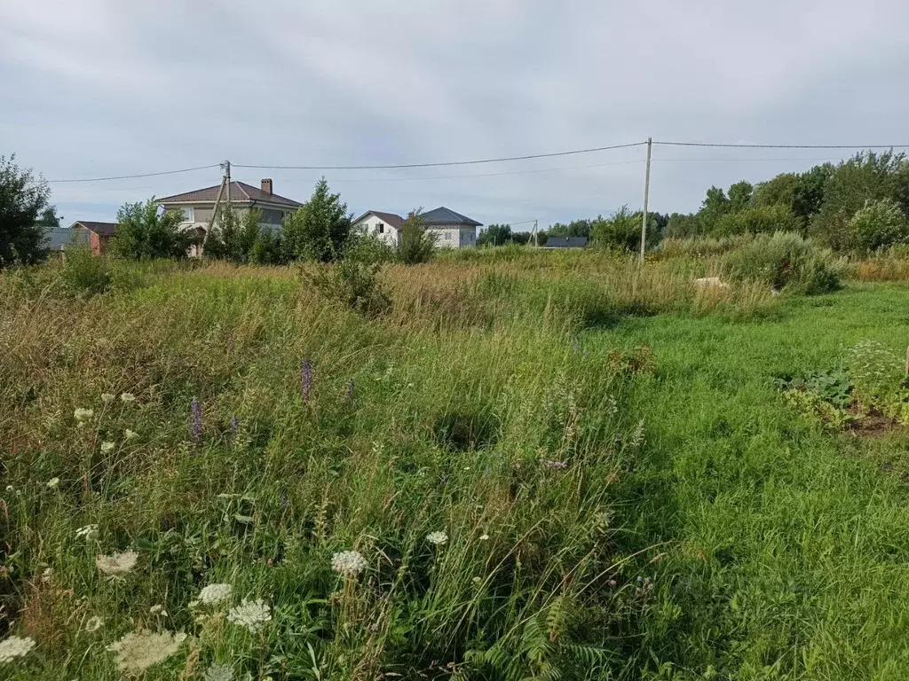 Участок в Калининградская область, Зеленоградский муниципальный округ, ... - Фото 2