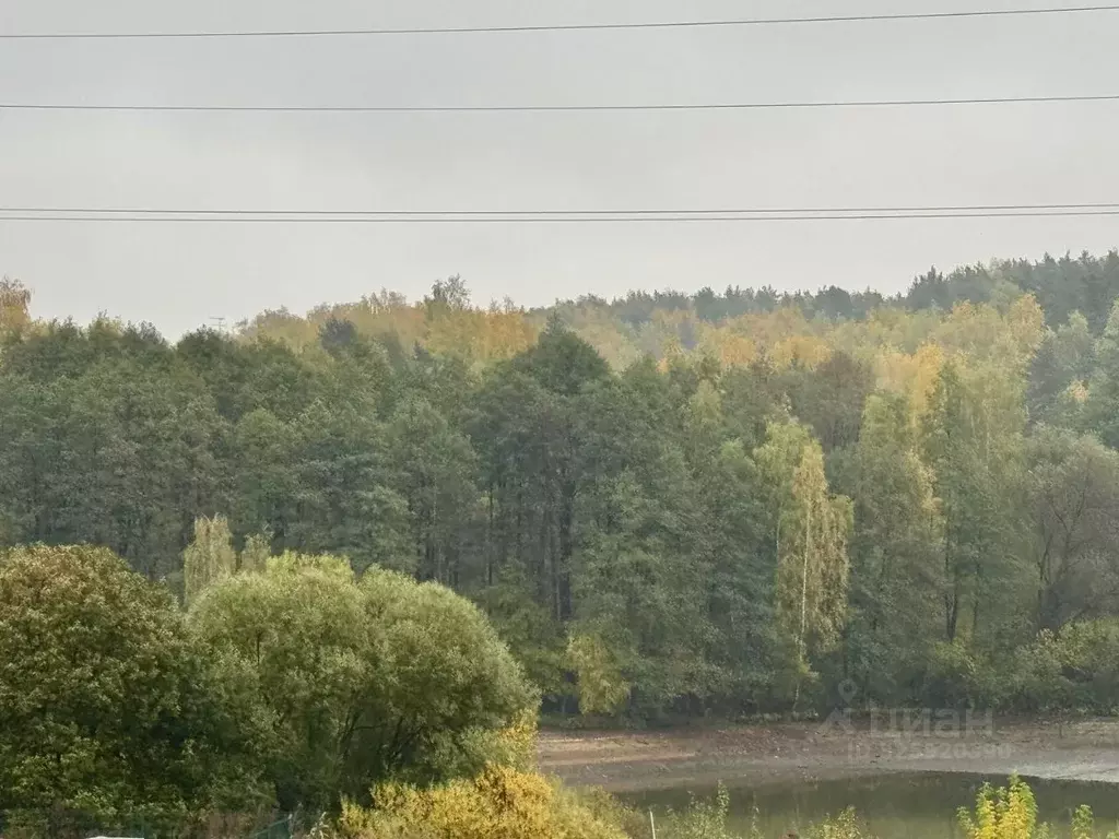 Торговая площадь в Московская область, Ленинский городской округ, д. ... - Фото 1
