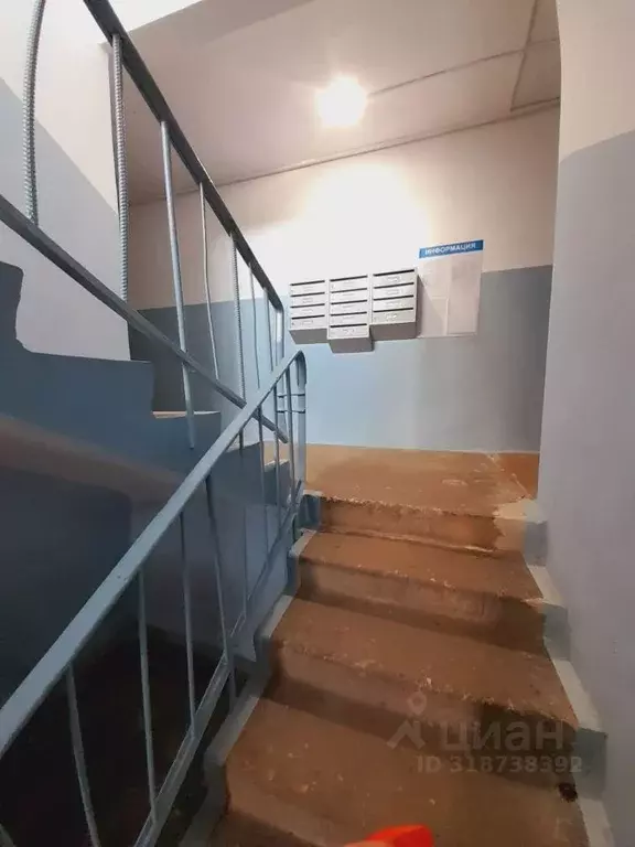 2-к кв. Новгородская область, Новгородский район, Лесновское с/пос, д. ... - Фото 2