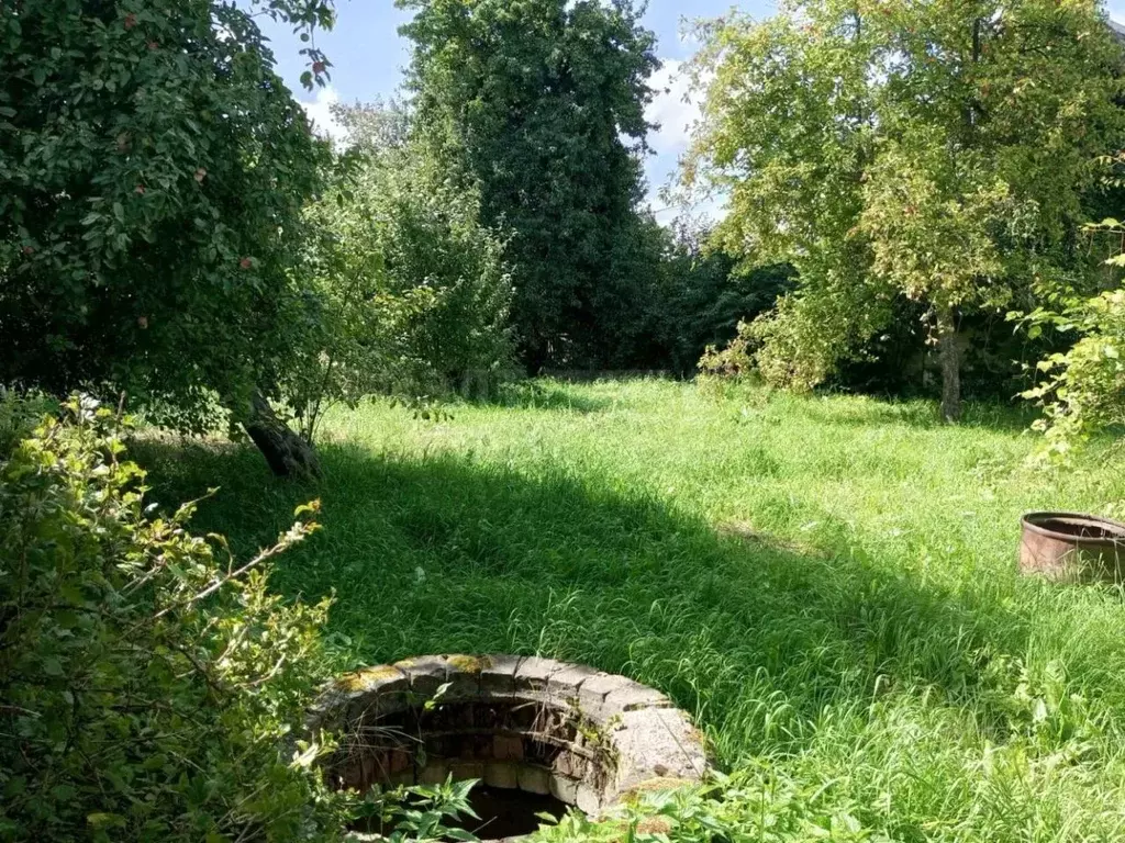 Участок в Калининградская область, Калининград Железнодорожник СНТ, ... - Фото 0