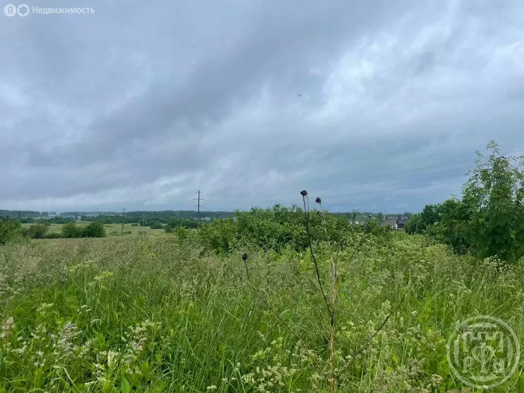 Участок в Ломоносовский район, деревня Низино (4 м) - Фото 1