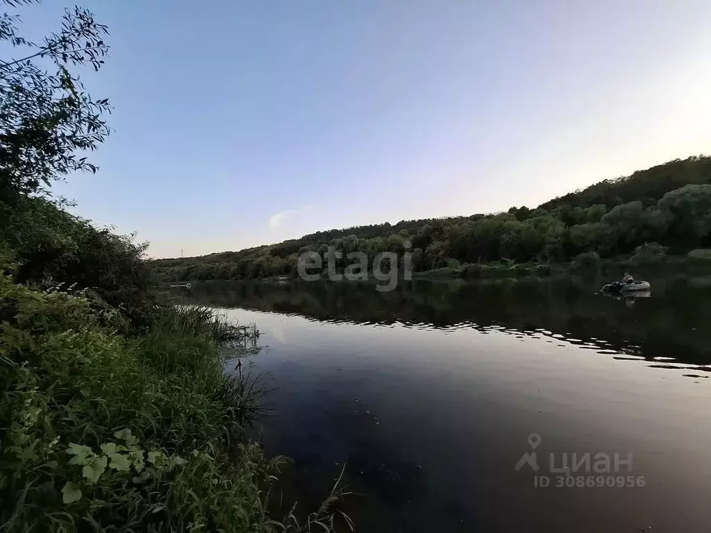 Участок в Воронежская область, Хохольский район, Новогремяченское ... - Фото 1