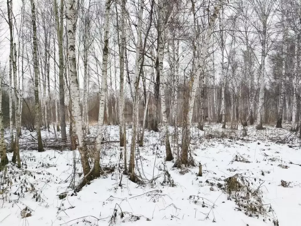 Участок 7,2 сот. (СНТ, ДНП) - Фото 1