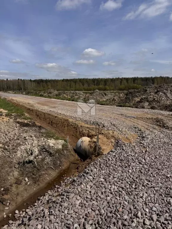 Участок в Ленинградская область, Всеволожский район, Щегловское с/пос, ... - Фото 2