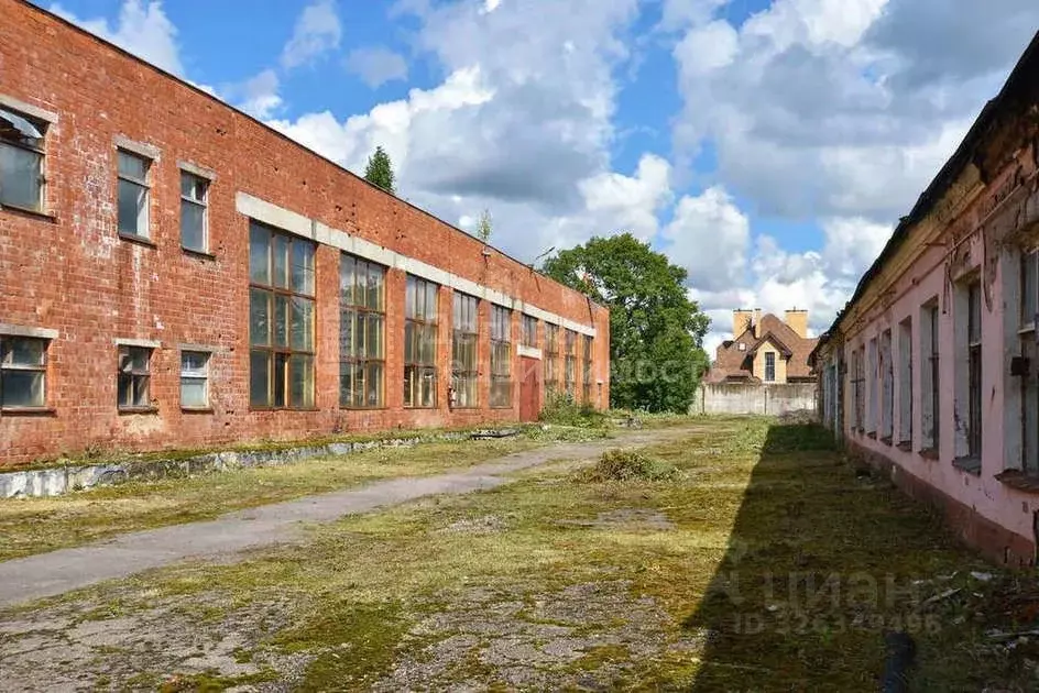 Производственное помещение в Новгородская область, Великий Новгород ... - Фото 2