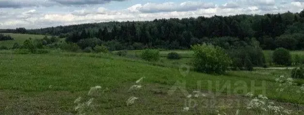 Участок в Московская область, Дмитровский муниципальный округ, д. ... - Фото 1