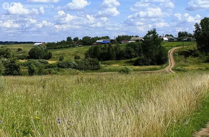 Участок в Гороховецкий район, муниципальное образование Фоминское, ... - Фото 0