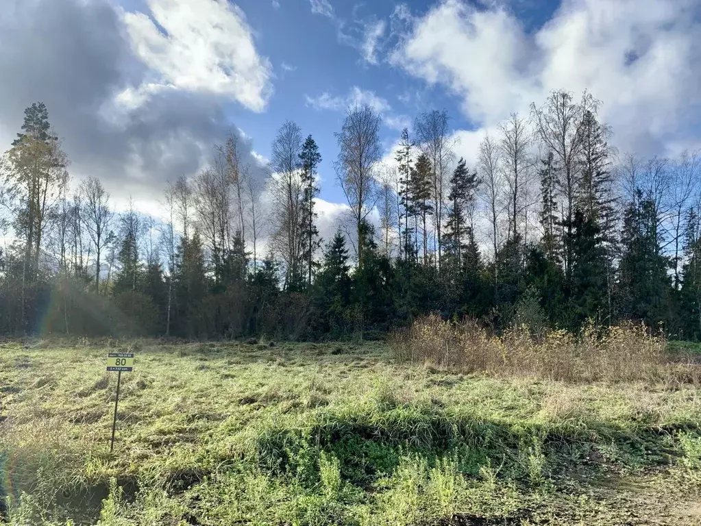 Участок в Ленинградская область, Приозерский район, Раздольевское ... - Фото 1