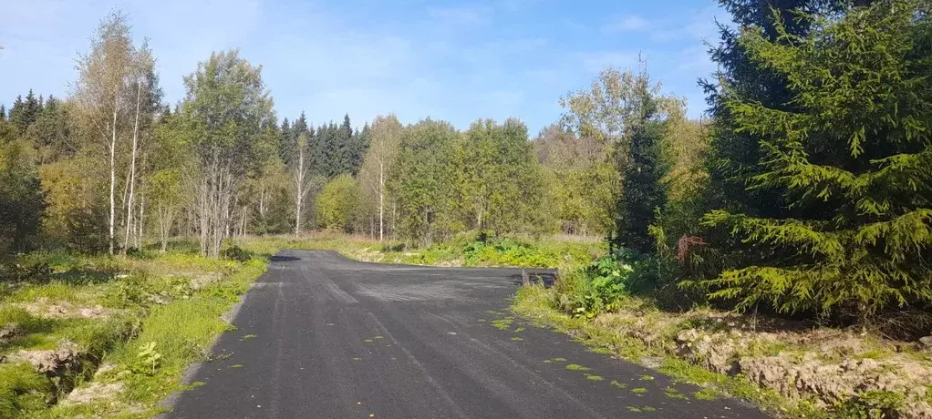 Участок в Московская область, Сергиево-Посадский городской округ, ... - Фото 1