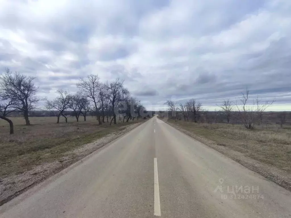 Участок в Крым, Симферопольский район, с. Мазанка ул. Школьная (6.0 ... - Фото 0