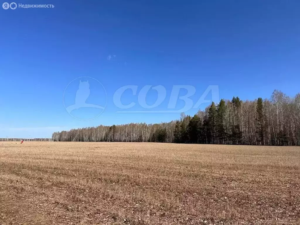 Участок в Каменское муниципальное образование, коттеджный посёлок ... - Фото 1