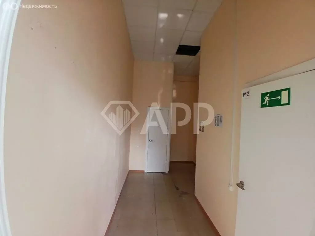 Торговая площадь (38.3 м) - Фото 1