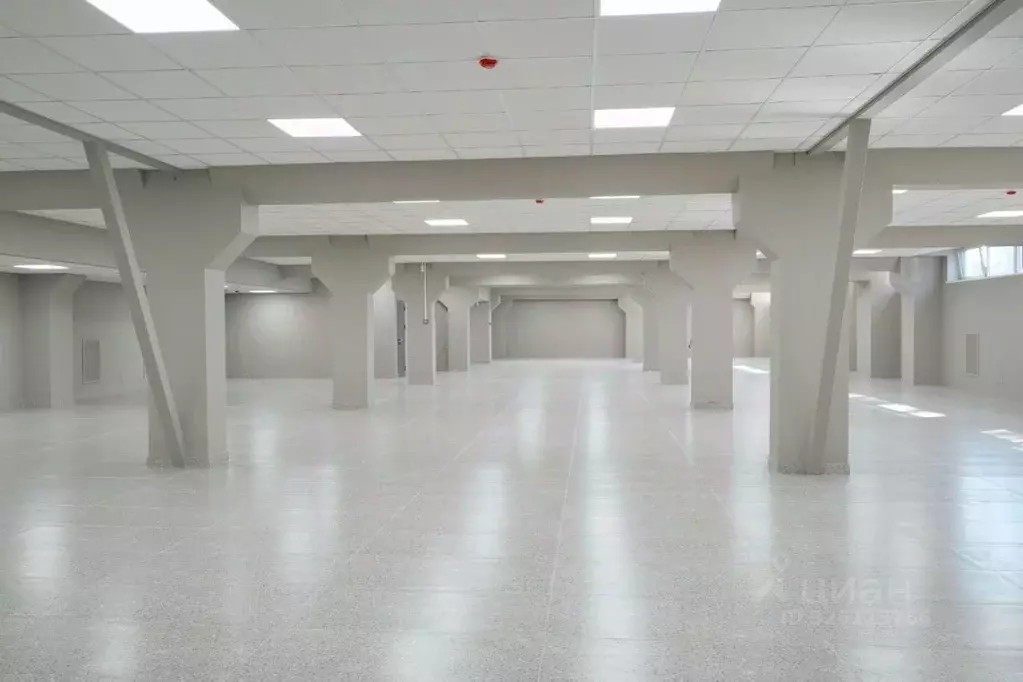 Помещение свободного назначения в Санкт-Петербург, Санкт-Петербург, ... - Фото 2