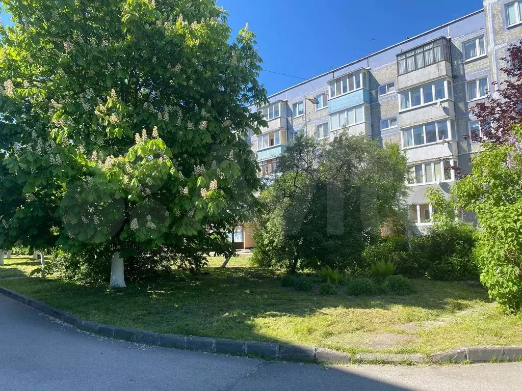 2-к. квартира, 51 м, 3/5 эт. - Фото 1
