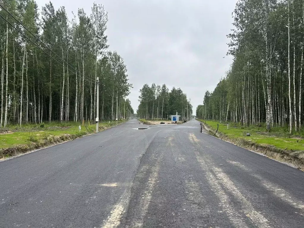 Участок в Санкт-Петербург, Санкт-Петербург, Павловск Павлов Скай кп, ... - Фото 1