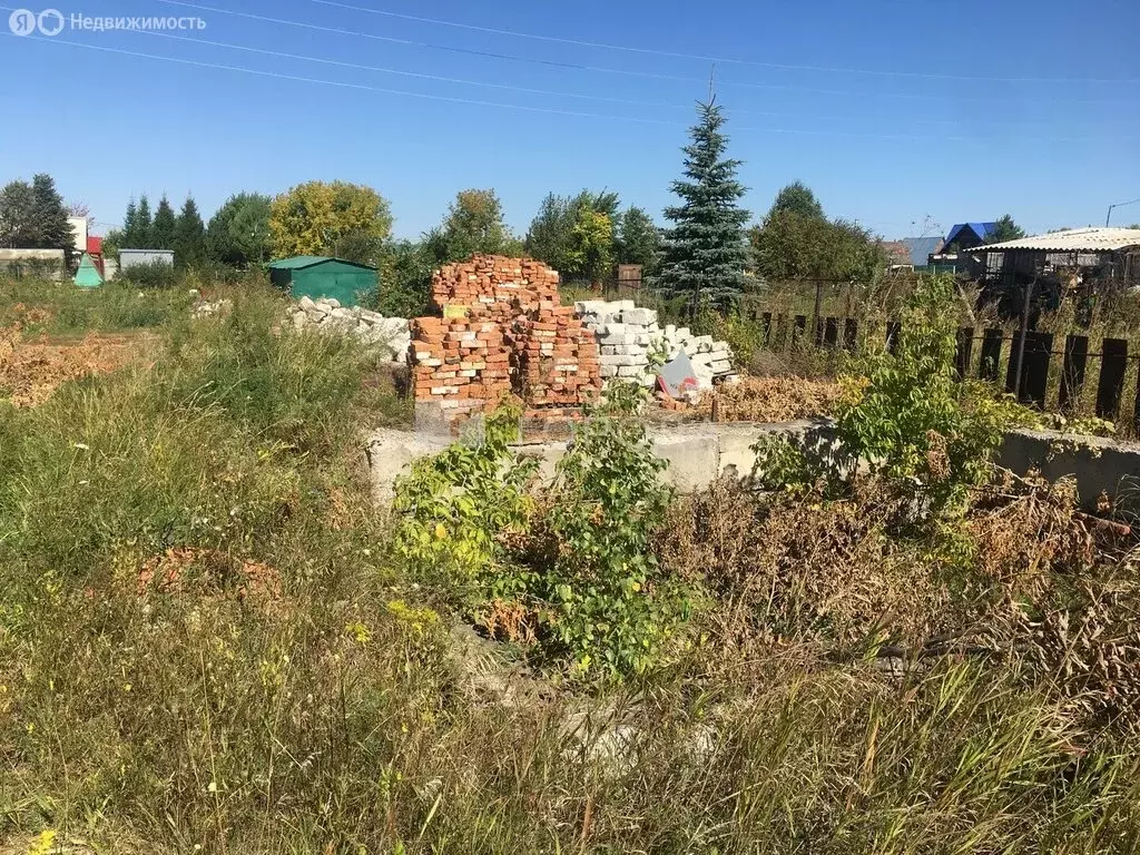 Участок в Новосибирский район, Ярковский сельсовет, садовые участки ... - Фото 0