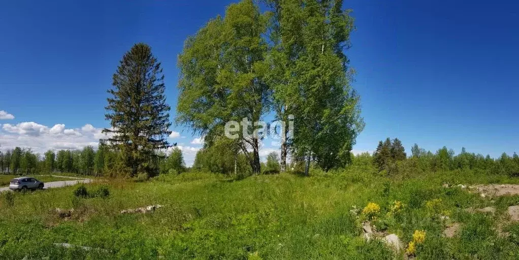 Участок в Ленинградская область, Приозерский район, Ларионовское ... - Фото 0