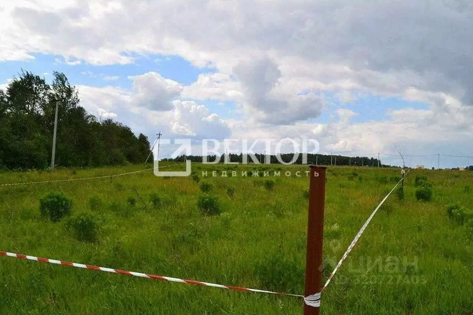 Участок в Ивановская область, Ивановский район, с. Чернореченский  ... - Фото 1