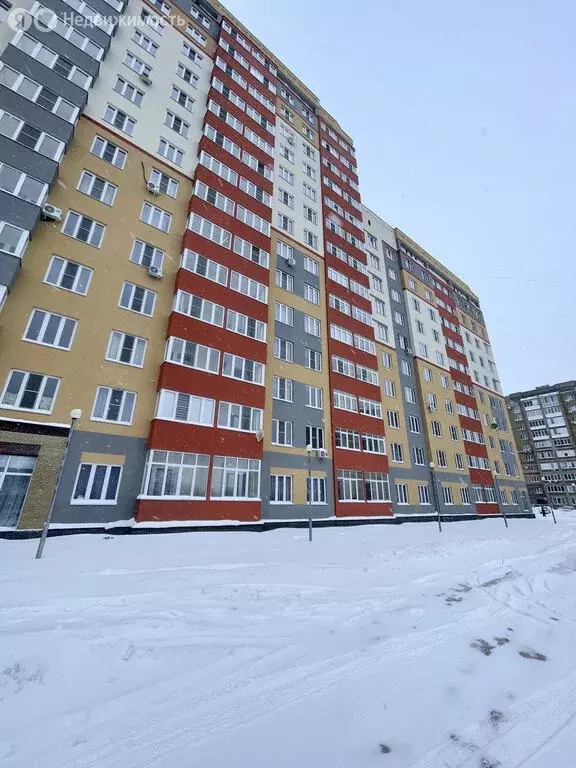 1-комнатная квартира: Кстово, улица Сутырина, 9 (35.7 м) - Фото 1