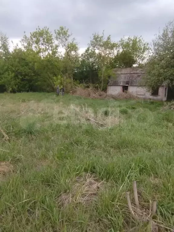Участок 60 сот. (ИЖС) - Фото 0
