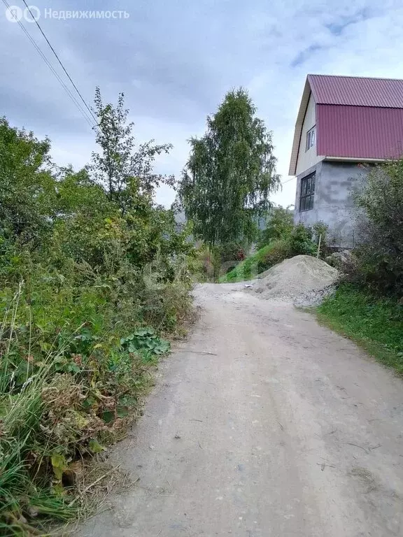 Участок в Горно-Алтайск, СНТ Рябинушка (5.16 м) - Фото 0